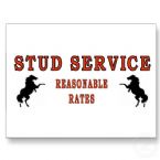 stud service