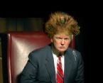 trump hair