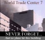 wtc7 never forget ... (Click to enlarge)