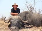 zim cape buffalo 001 1 