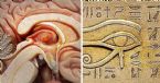 zz pineal gland biggest secrets third eye Copy 2 