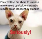 troll cat