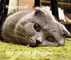 happy cat has run out of happy