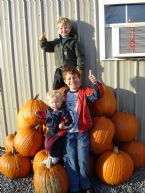 3 sons in pumpkin pile 12x16