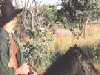 Horseback Safari