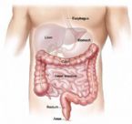 colon diagram