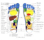 foot chart ... (Click to enlarge)