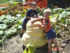 playing in the pumpkin patch copy