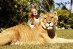 Liger