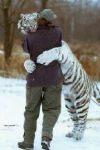 snow tiger and man