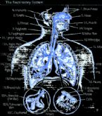 Respiratory System Logo ... (Click to enlarge)