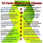 Lymes Disease