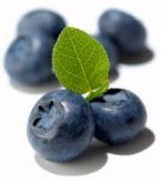 blueberries