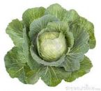 cabbage