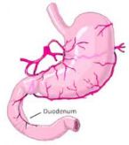 stomach blood supply ... (Click to enlarge)