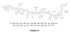 histatin 5 ... (Click to enlarge)