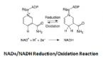 nad nadh reduction oxidation reaction ... (Click to enlarge)