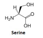 serine