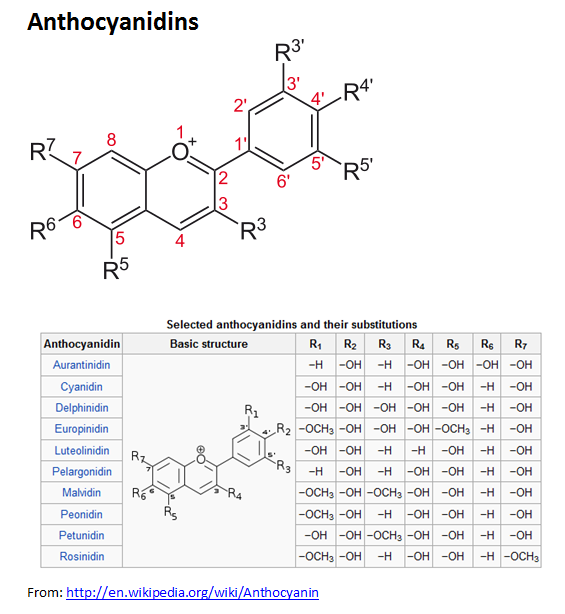 //www.curezone.org/upload/_C_Forums/Candida/anthocyanidins.png