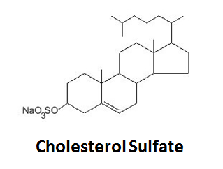 //www.curezone.org/upload/_C_Forums/Candida/cholesterol_sulfate.png