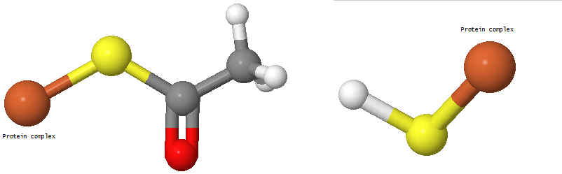 //www.curezone.org/upload/_C_Forums/Candida/disulfide_acetaldehyde_after.png