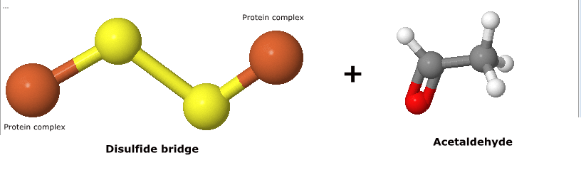 //www.curezone.org/upload/_C_Forums/Candida/disulfide_acetaldehyde_before.png