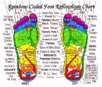 ReflexologyChart ... (Click to enlarge)