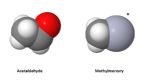 acetaldehyde methylmercury ... (Click to enlarge)