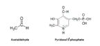 acetaldehyde pyridoxal phosphate