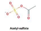 acetyl sulfate ... (Click to enlarge)