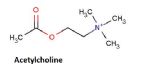 acetylcholine