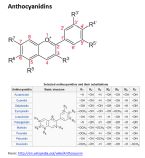 anthocyanidins