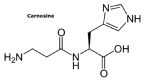 carnosine