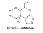 carnosine acetaldehyde