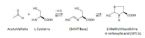 cysteine acetaldehyde