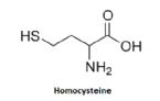 homocysteine