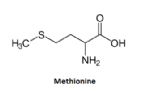 methionine