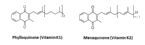 phylloquinone and menaquinone