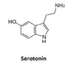 serotonin ... (Click to enlarge)