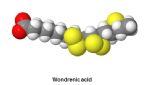 wondrenic acid