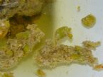 Gallstones Encapsulated by Psyllium Husk (modded cleanse)