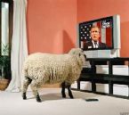 Bush sheeple TV