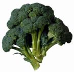 broccoli1