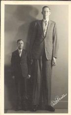 Robert Wadlow