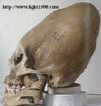 giant skulls 9