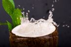 Coconut Water 1