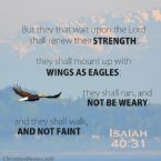 Isaiah 40 31 Scripture Renewed Strength