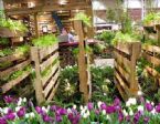 diy pallet flower garden