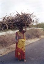 sticks on head