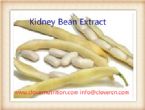 Clover Nutrition White Kidney Bean Extract